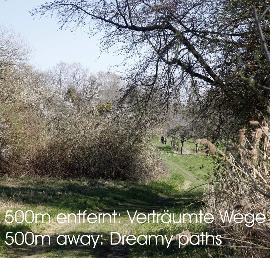 Passivhaus 750M Vom Bodensee -- 2X E-Bike Inklusive -- Neubau 2019 Am Ortsrand Ohningen Eksteriør bilde
